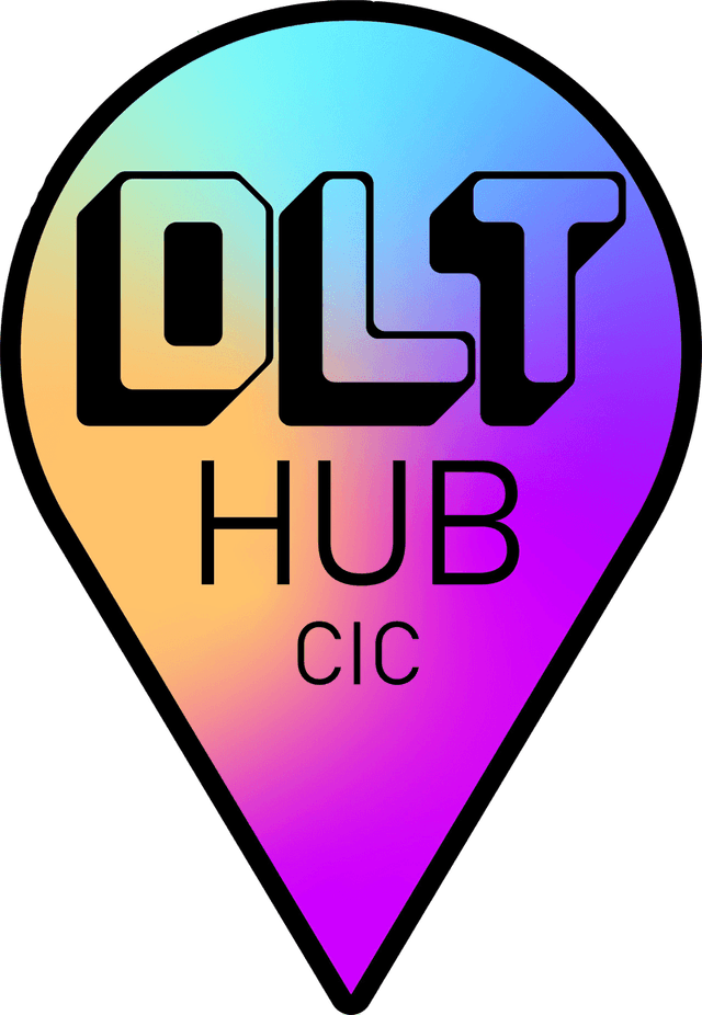 DLT Hub